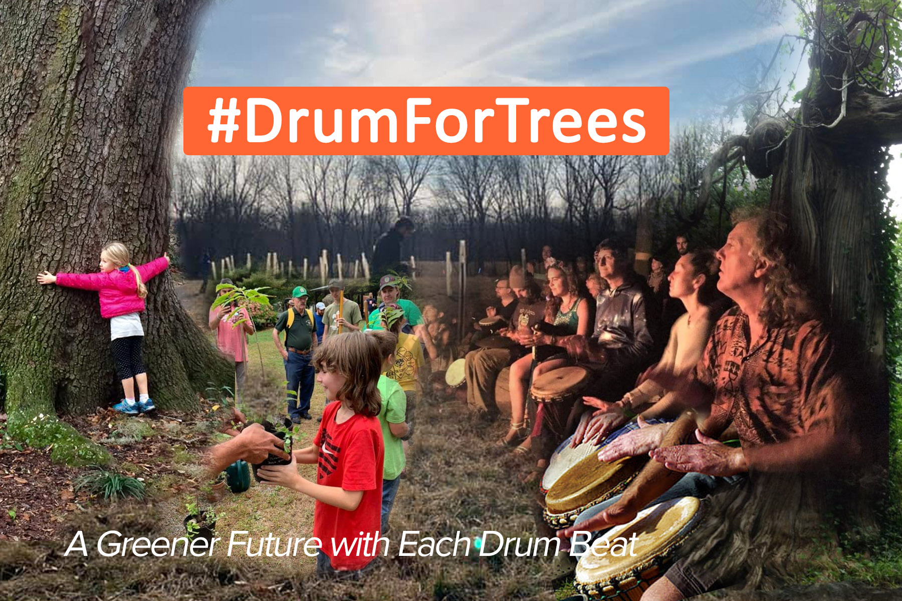 Drum for Trees