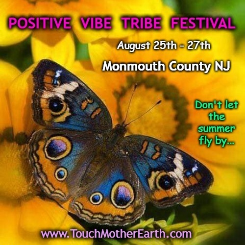 Positive Vibe Tribe Festival Tickets